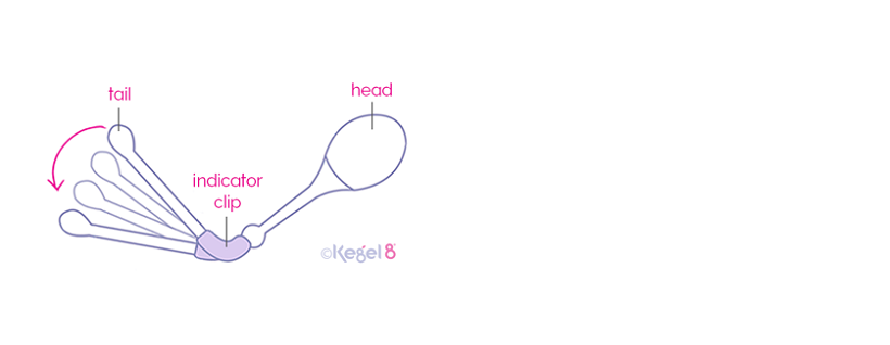 Kegel8 Vaginal Cones Have a Unique Indicator Tail to Show When You Are Doing Kegels Correctly!